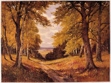 Waldidyll Collectable Print by Erich Krueger
