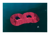 Surrounded Islands, 1995 Láminas por Christo Surrounded Islands, 1995 Láminas por Christo