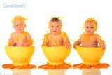 Eggcups Poster von Anne Geddes