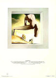 Soulevaut Verzamelposters van Salvador Dalí Soulevaut Verzamelposters van Salvador Dalí