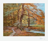 Forest in Autumn Poster by Walter Kopp