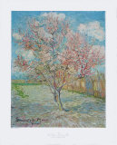 Souvenir de Mauve Collectable Print by Vincent van Gogh