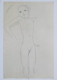 Nude Girl, 1911 Kerättävät vedokset tekijänä Egon Schiele Nude Girl, 1911 Kerättävät vedokset tekijänä Egon Schiele
