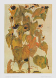 Sunflowers, 1911 Posters tekijänä Egon Schiele Sunflowers, 1911 Posters tekijänä Egon Schiele