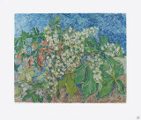 Blossoming Chestnut Branches, c.1890 Reproductions pour les collectionneurs par Vincent van Gogh