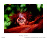 Monkey Business Posters Monkey Business Posters