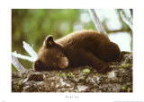 Rough Day Posters