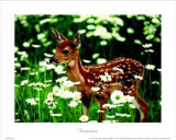 Innocence Posters