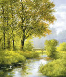Dreamy Creek II Prints by Heinz Scholnhammer
