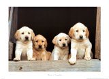 Here's Trouble Prints