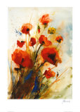 Mohn Posters by J. Hammerle Mohn Posters by J. Hammerle