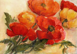 Splendid Poppies Prints by Elisabeth Krobs