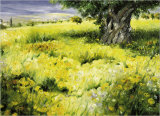 Sommerbaum Láminas por Christian Sommer