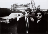 Blues Brothers  Kunst