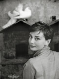 Audrey Hepburn Prints by Philippe Halsman
