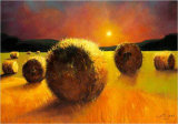 Strohballen im Spaetsommer II Pósters por Heribert Elzer Strohballen im Spaetsommer II Pósters por Heribert Elzer