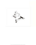 The Cat Plakat av Pablo Picasso