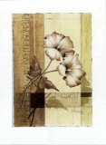 Malva Prints by Franz Heigl