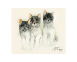 Katzen Print by Moser Dede