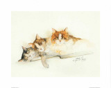 Katzen Posters by Moser Dede