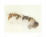 Katzen Posters by Moser Dede