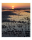 Bush Bay Sunset Photographie par Wild Inspirations 