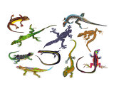 Lizards and Geckos Giclee Print by Lucy Autrey Wilson