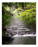 Tabacon Hot Springs Photographic Print by Jim Cihula