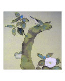 Asian Spring Bloom Courtship Giclee Print by Edo School Painters