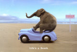 Life's A Beach Poster
