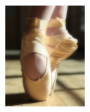 Pointe Well Taken Photographic Print by Rick Lord