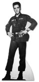 Elvis Presley Stand Up