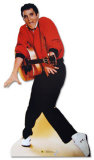 Elvis Presley Stand Up