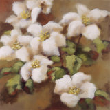 Ode to Spring Prints by Onan Balin