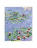 Water Lilies, c. 1914-1917 Prints by Claude Monet