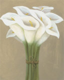 White Cala Lilies in String Pósters por Cuca Garcia White Cala Lilies in String Pósters por Cuca Garcia