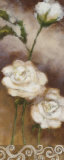Spring Grandeur Poster av Onan Balin