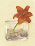 Red Flower in Bowl with Rocks Láminas por David Col Red Flower in Bowl with Rocks Láminas por David Col