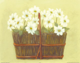 White Flowers in Wicker Basket Prints by Cuca Garcia