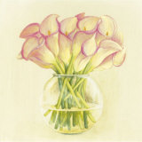 Orange Cala Lilies in Vase Lámina por Cuca Garcia