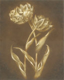 White and Brown Flowers Prints by Stela Klein