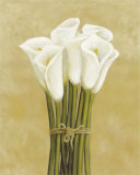 White Cala Lilies in String Pósters por Cuca Garcia