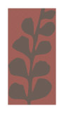 Maidenhair Coco Stem Lámina por Denise Duplock