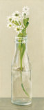 White Flowers in Bottle Poster by David Col