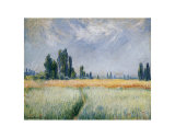 Wheatfield, 1881 Poster par Claude Monet