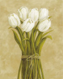 White Tulips in String Posters by Cuca Garcia