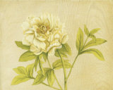 Fleur jaune Art par David Col