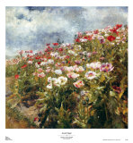 Seaside Poppies Prints by Marie Egner