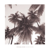 Island Palms Affiches par Michael Kahn