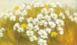 White and Yellow Daisies Prints by Cuca Garcia